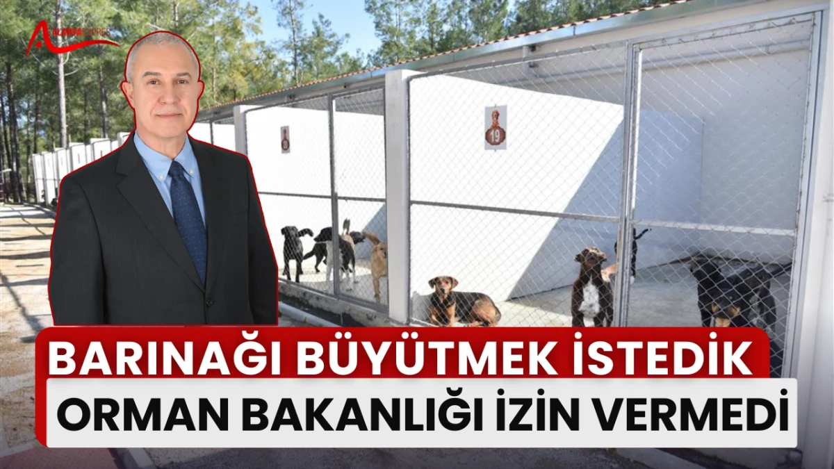 “Alanya Barınağı büyüyemiyor: Başkan Özçelik Orman Bakanlığı’nı işaret etti”