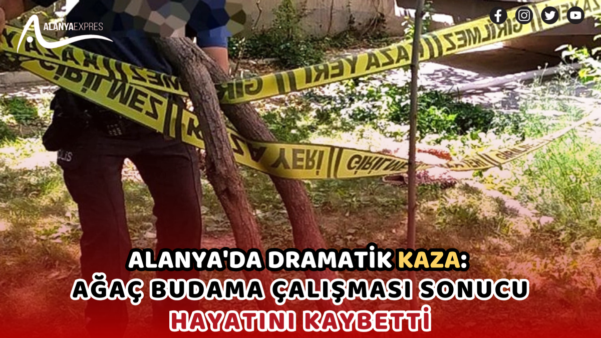 "Alanya'da Dramatik Kaza: Ağaç Budama Çalışması Sonucu Hayatını Kaybetti"