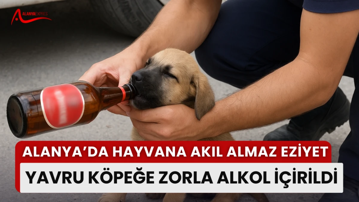 “Bu görüntü infial yarattı… Alanya’da yavru köpeğe zorla bira içirildi”