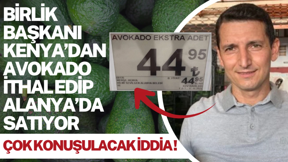 “Kenya’dan Alanya’ya Avokado Mu Geldi? Birlik Başkanı Hakkında Şok İddia!”