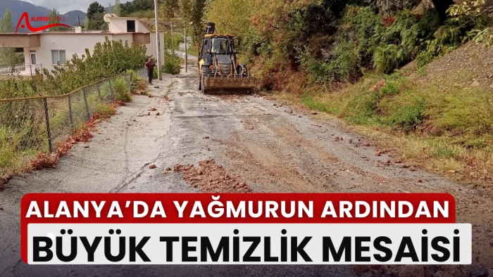 “Taş, Ağaç ve Tıkanan Yollar: Alanya’da Temizlik Mücadelesi!” 